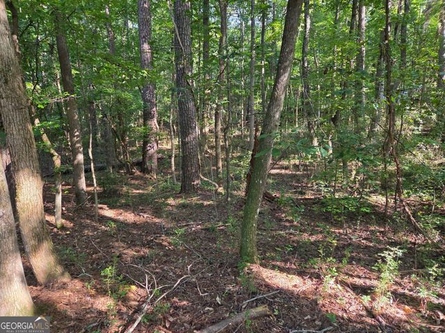 0 Oak Road, Jenkinsburg, GA 30234