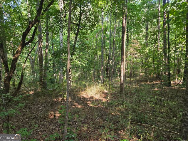 0 Oak Road, Jenkinsburg, GA 30234