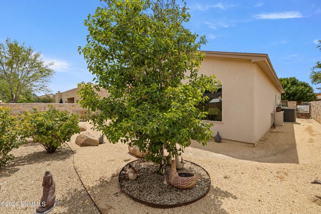 940 Flora Vista Drive, Las Cruces, NM 88007