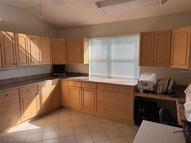 725 PALMA DRIVE, The Villages, FL 32159