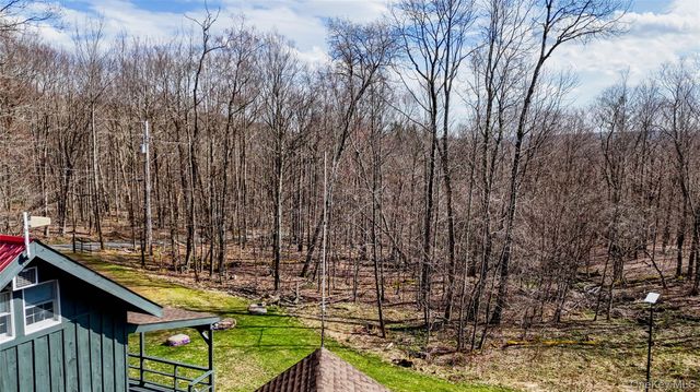 1895 Horse Brook Road, Roscoe, NY 12776