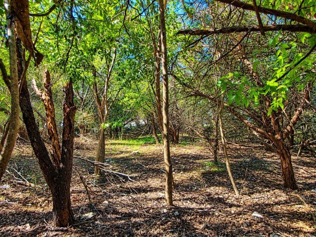 2006 Casa Grande DR, Austin, TX 78733