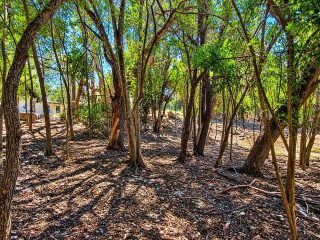 2006 Casa Grande DR, Austin, TX 78733