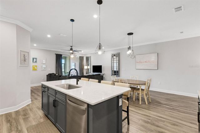 19298 BLUE POND DRIVE, Lutz, FL 33558