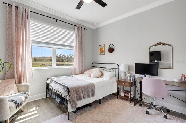 19298 BLUE POND DRIVE, Lutz, FL 33558