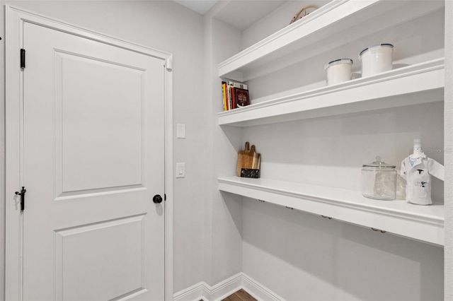 19298 BLUE POND DRIVE, Lutz, FL 33558