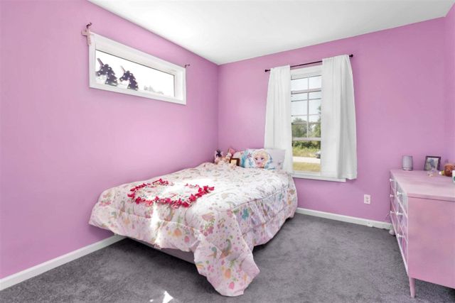 879 Flat River Court, Lowell, MI 49331