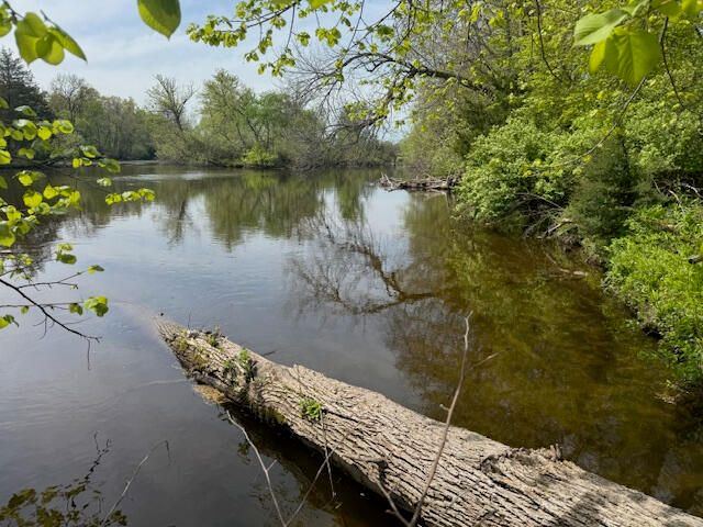 879 Flat River Court, Lowell, MI 49331