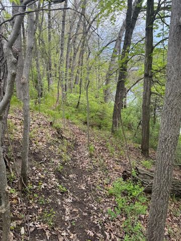 879 Flat River Court, Lowell, MI 49331