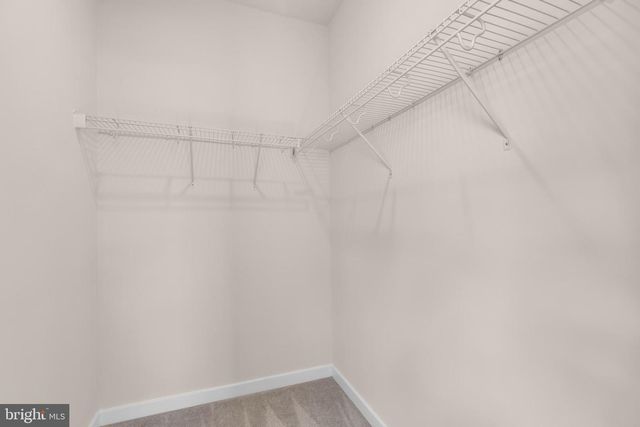 2053 WHITHORN HILL, Jeffersonton, VA 22724