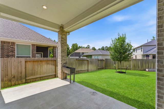 181 Hidden Peak Drive, Montgomery, TX 77316