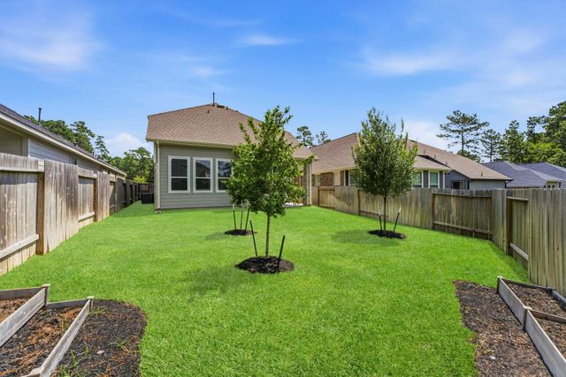 181 Hidden Peak Drive, Montgomery, TX 77316
