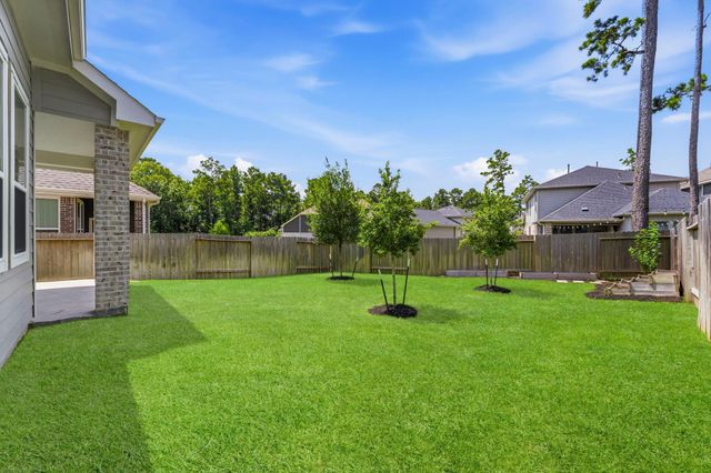 181 Hidden Peak Drive, Montgomery, TX 77316