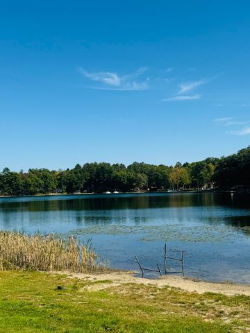 5112 N Bass Lake Road, Irons, MI 49644