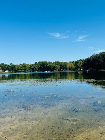 5112 N Bass Lake Road, Irons, MI 49644