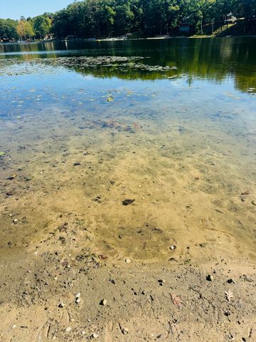 5112 N Bass Lake Road, Irons, MI 49644