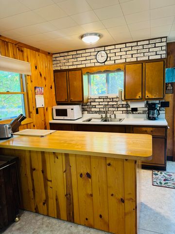 5112 N Bass Lake Road, Irons, MI 49644