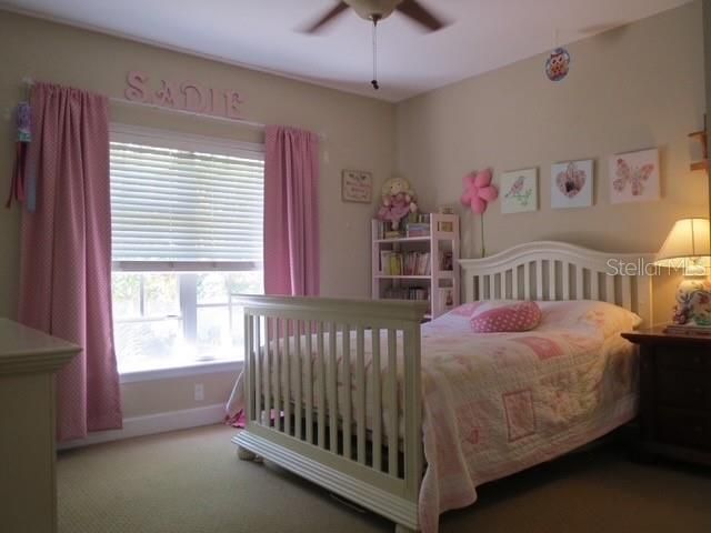 3103 W WAVERLY AVENUE, Tampa, FL 33629
