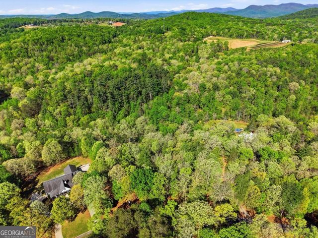 0 Mill Trace Court, Cleveland, GA 30528
