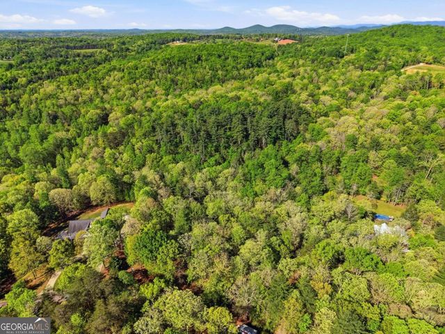 0 Mill Trace Court, Cleveland, GA 30528