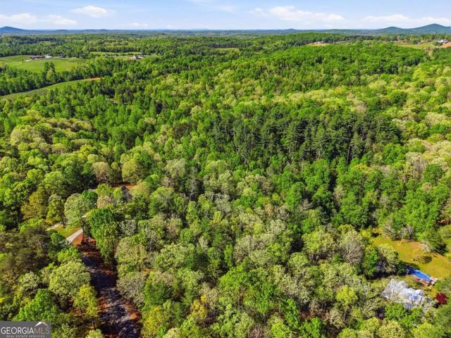 0 Mill Trace Court, Cleveland, GA 30528
