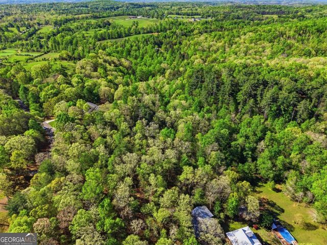 0 Mill Trace Court, Cleveland, GA 30528
