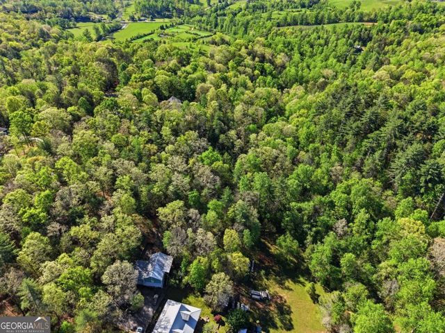0 Mill Trace Court, Cleveland, GA 30528
