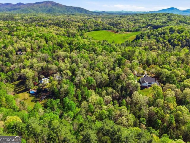 0 Mill Trace Court, Cleveland, GA 30528