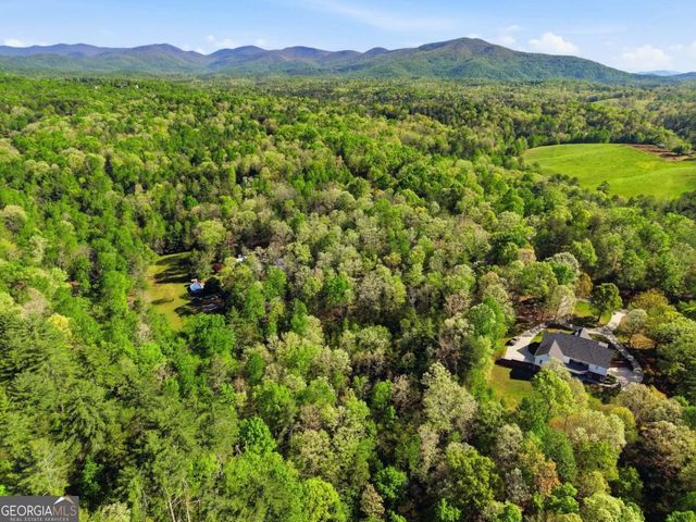 0 Mill Trace Court, Cleveland, GA 30528