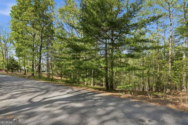0 Mill Trace Court, Cleveland, GA 30528