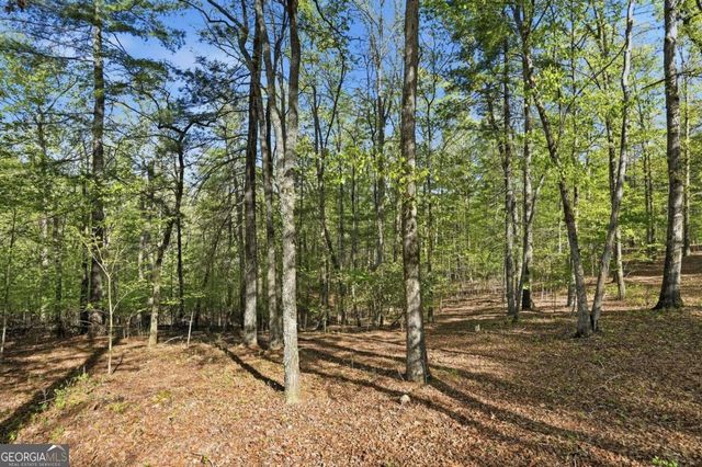 0 Mill Trace Court, Cleveland, GA 30528