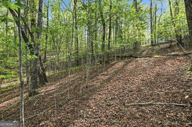 0 Mill Trace Court, Cleveland, GA 30528