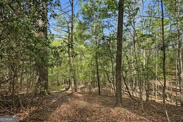 0 Mill Trace Court, Cleveland, GA 30528