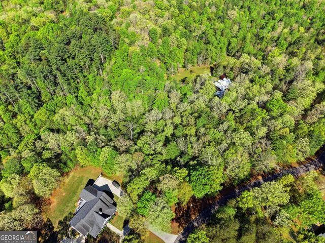 0 Mill Trace Court, Cleveland, GA 30528