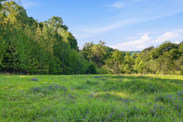 0 Gratton Road, Clarksville, TN 37043