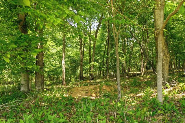 0 Gratton Road, Clarksville, TN 37043