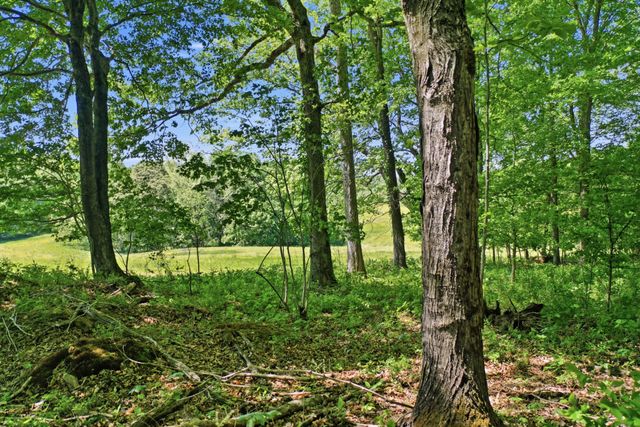 0 Gratton Road, Clarksville, TN 37043