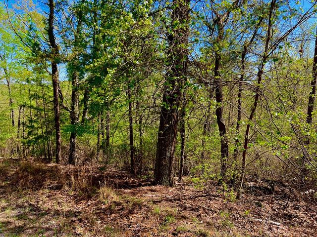 694 Railey Ridge, Ranger, GA 30734
