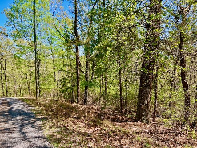 694 Railey Ridge, Ranger, GA 30734