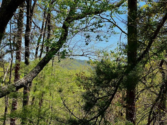 694 Railey Ridge, Ranger, GA 30734