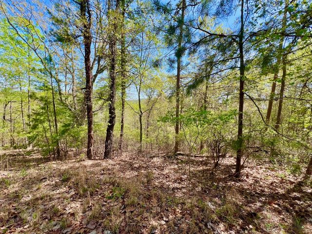694 Railey Ridge, Ranger, GA 30734