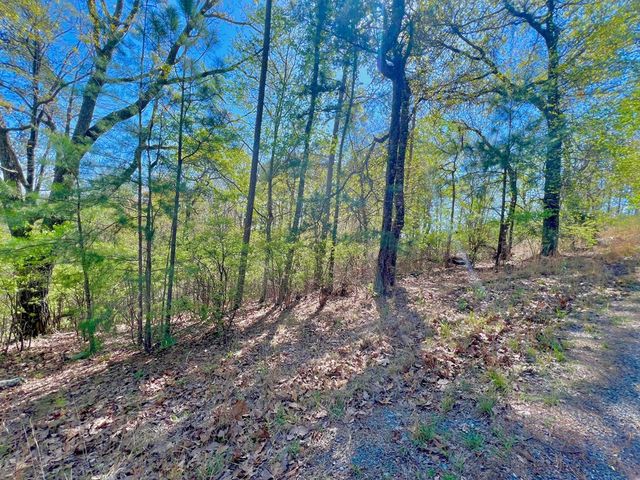 694 Railey Ridge, Ranger, GA 30734