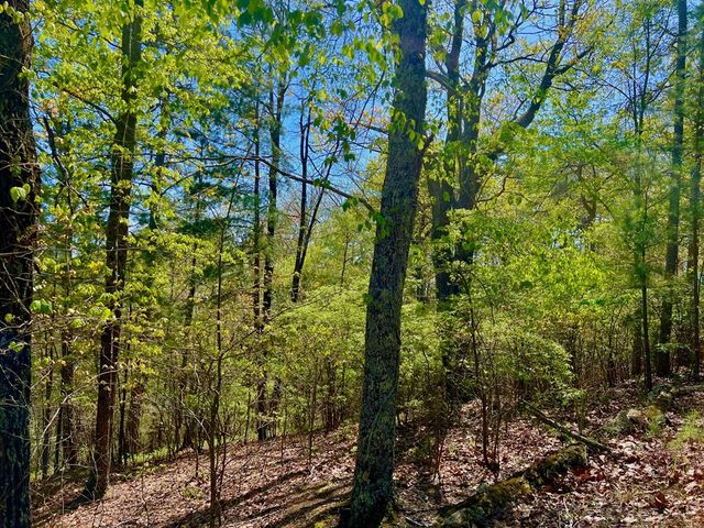 694 Railey Ridge, Ranger, GA 30734
