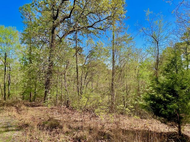 694 Railey Ridge, Ranger, GA 30734