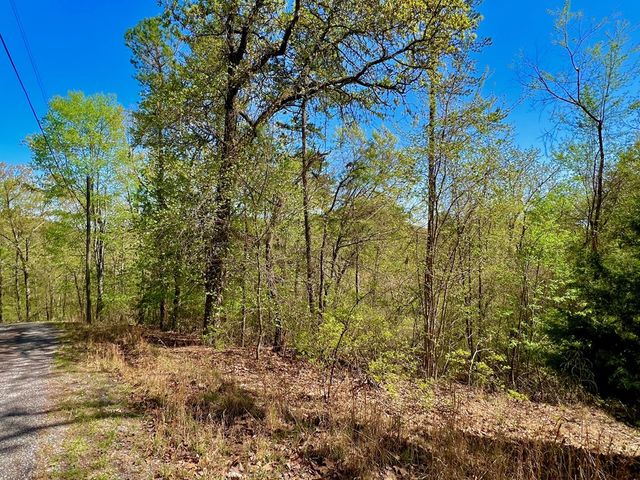 694 Railey Ridge, Ranger, GA 30734