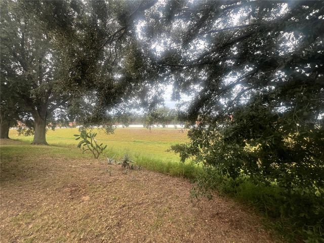 237 WALPOLE LOOP, Davenport, FL 33897