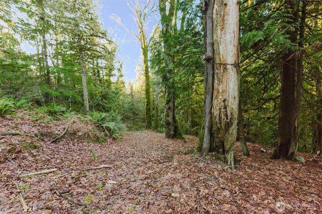 360 E Rasor Road, Belfair, WA 98528