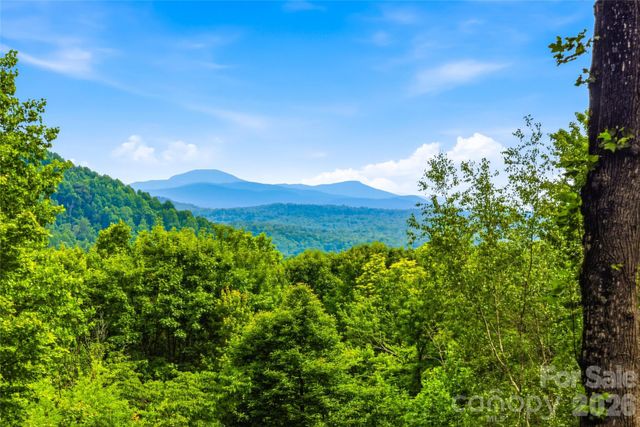 233 Tanglewood Lane, Saluda, NC 28773