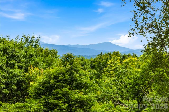 233 Tanglewood Lane, Saluda, NC 28773