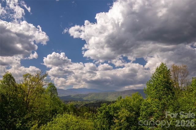 219 Sandalwood Drive, Whittier, NC 28789